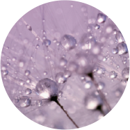 DermalRx®SRC煥膚寡肽